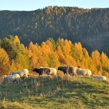 Schiessstandhof Bed & Breakfast Montagna Luaran gambar