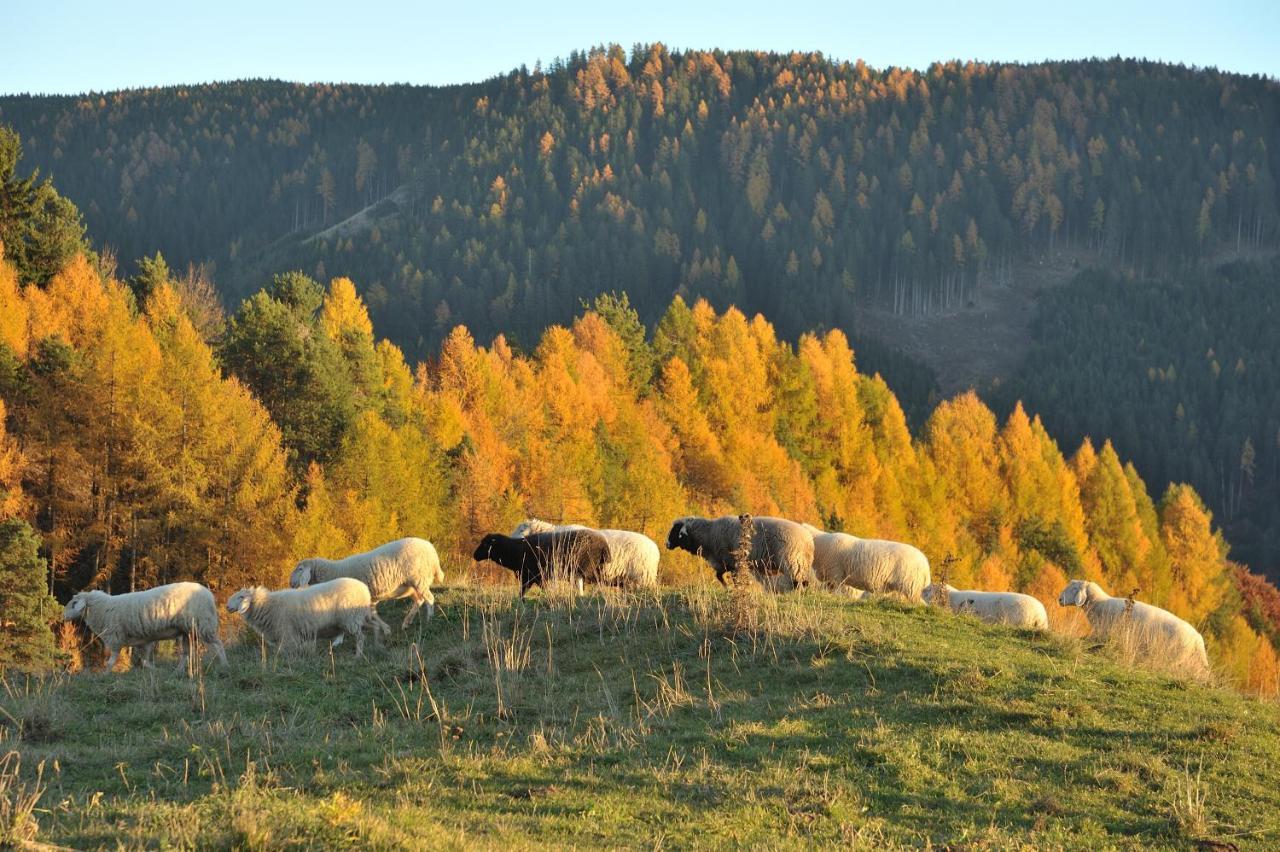 Schiessstandhof Bed & Breakfast Montagna Luaran gambar